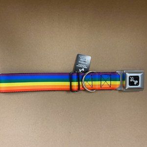 Dog Collar Seatbelt Buckle Rainbow Stripe Painted 13 to 18 Inches 1.5 Inch Wide